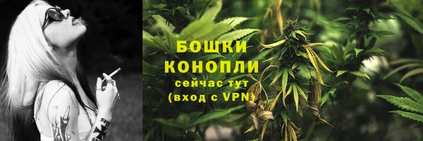 СК Белокуриха