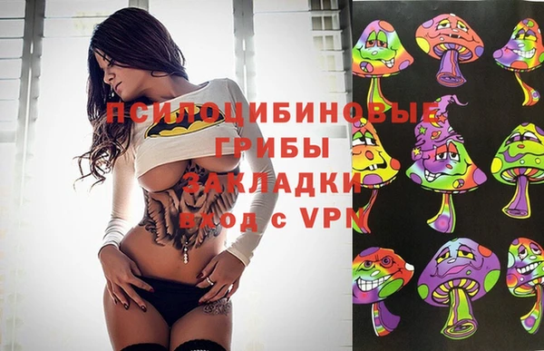 СК Белокуриха