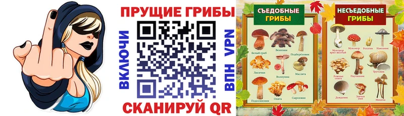 Купить закладки  Джанкой  Галлюциногенные грибы Psilocybe 